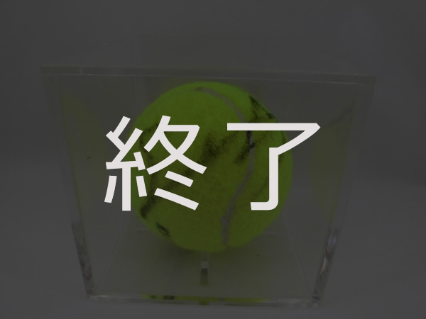 関口周一選手 サイン入りテニスボール 終了