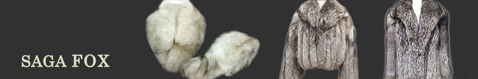 SAGA FOX(サガフォックス)