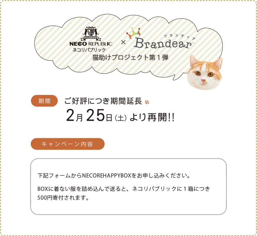 ネコリパブリック×Brandear 猫助けプロジェクト第１弾