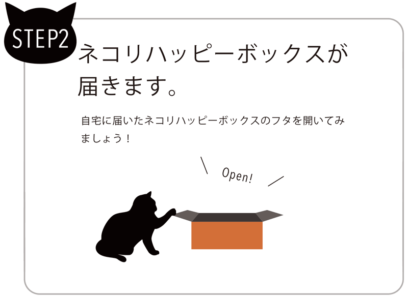 STEP2　ネコリハッピーボックスが届きます