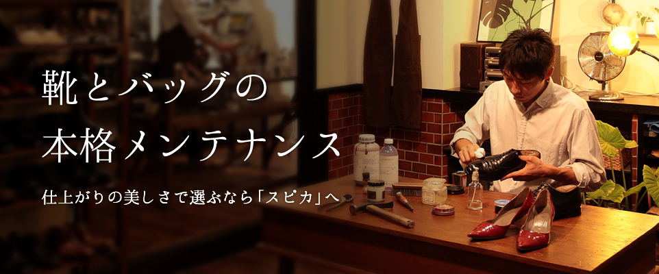 スピカイメージ画像