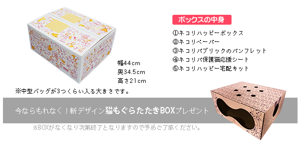 ネコリハッピーボックス1個